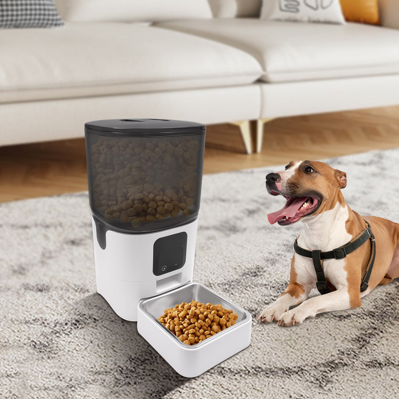 Automatischer Futterspender 5,45L für Hunde, Katzen & Kaninchen – 10 Mahlzeiten täglich