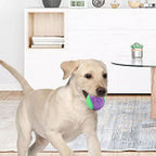 Scooby-Doo Durable Squeaky Set Of 8 Dog Balls For Teeth Cleaning Interactive UK